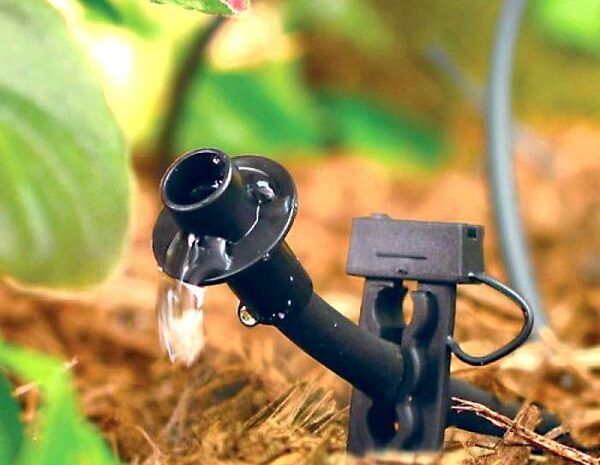 5 советов, как сделать капельный полив своими руками