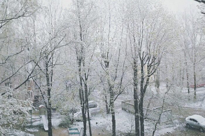 Что случилось 11 мая 2017 года?