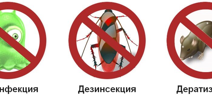 Дератизация и дезинсекция для частных лиц