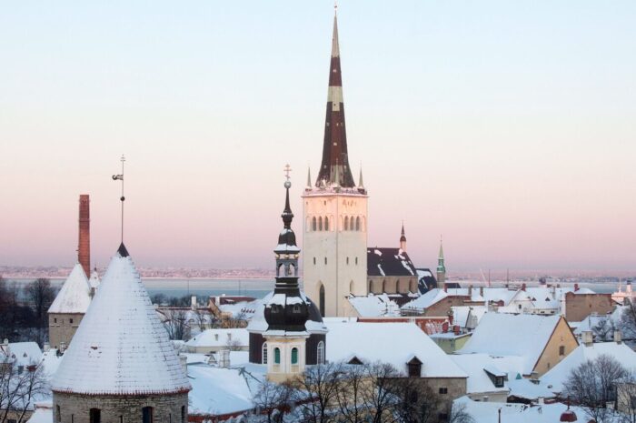 Эстония подтвердила арест россиянина по запросу США