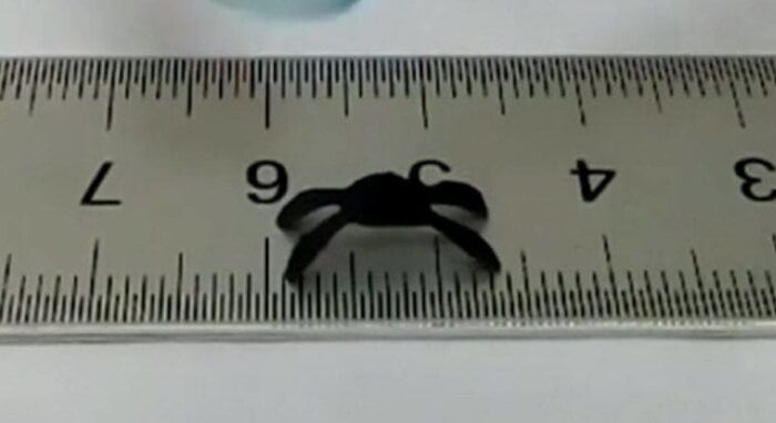 Графеновый робот-паук, которому для передвижения не нужна электроэнергия