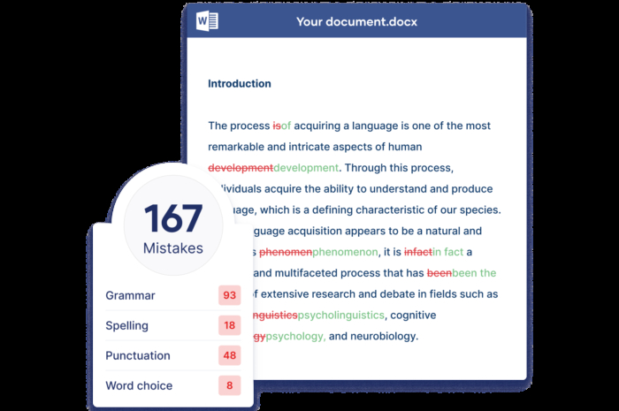 grammar checker