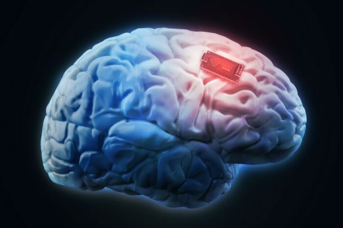 Импланты для улучшения памяти уже можно использовать. И они работают!
