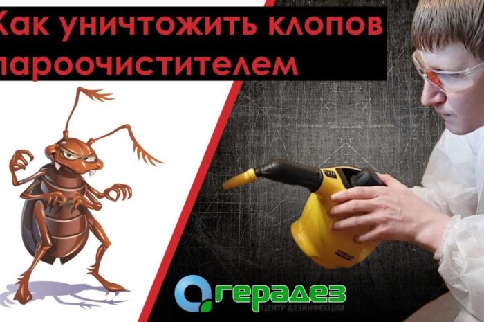 Избавление от клопов процесс мучительный