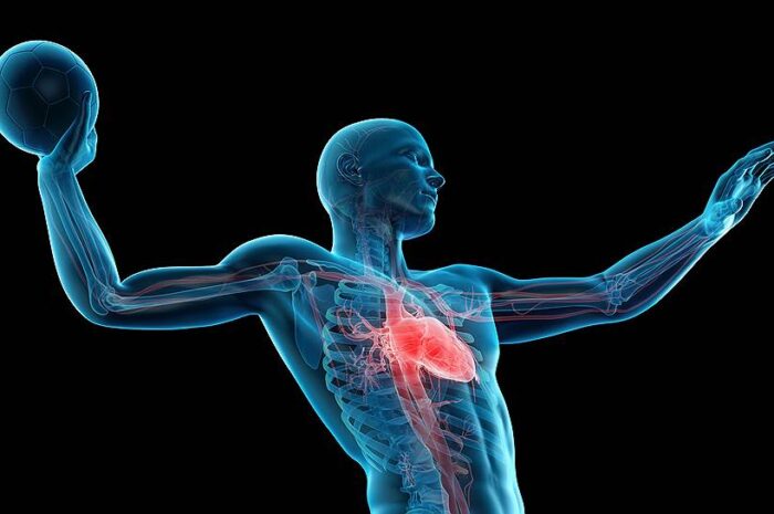 Количество детей может повлиять на сердце женщины и ускорить её смерть