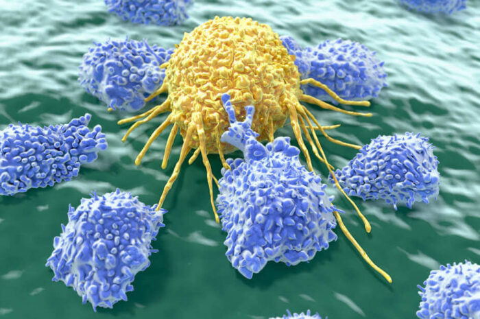 Многообещающую вакцину от рака начинают испытывать на людях