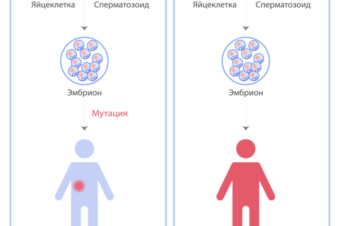 Мутации гена-супрессора не объясняют рак