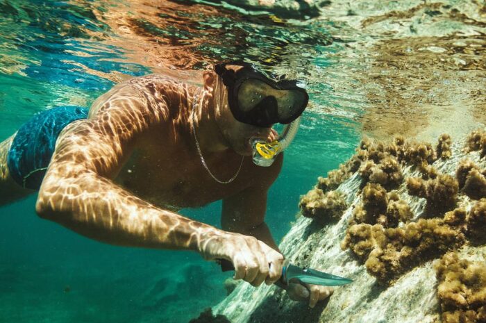 Мужчина отбился от напавшей на него акулы ножом