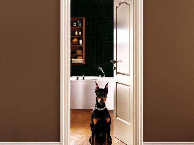 Наличники для межкомнатных дверей: 5 советов по выбору наличников