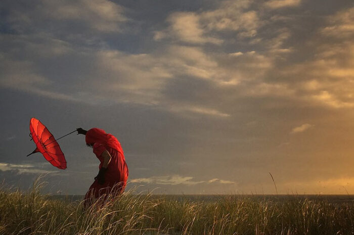 Названы победители ежегодного конкурса фотографий, сделанных смартфонами Apple iPhone