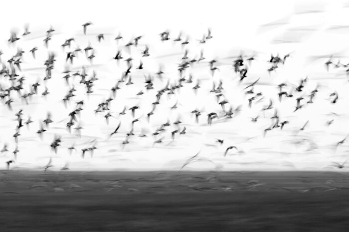 «Небесный хайвэй»