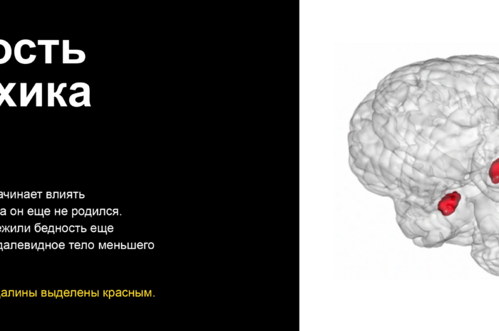 Несчастливое детство увеличивает риск стать бедным в будущем — Ученые