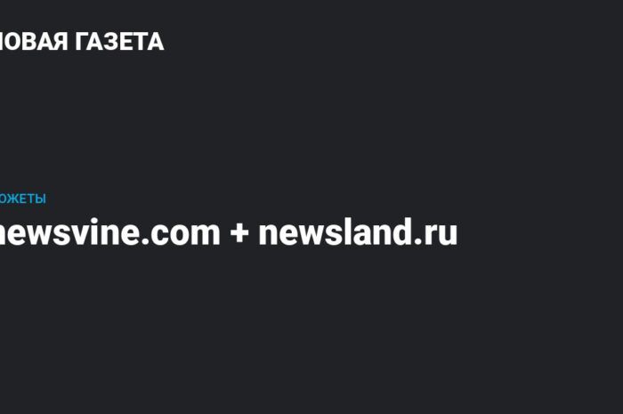 Newsvine назвали среди самых перспективных компаний