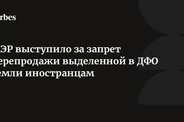 Нужно запретить перепродажу выделенной в ДФО земли иностранцам — МЭР