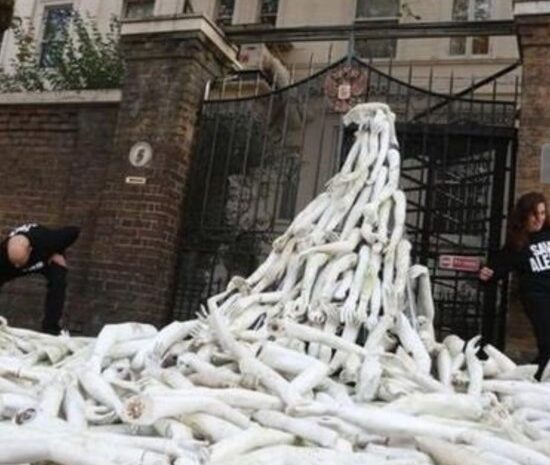 Посольство РФ в Лондоне направило в МИД Великобритании ноту протеста — Была создана угроза безопасности работников