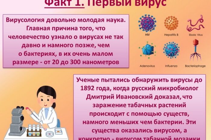 Правда о вирусах