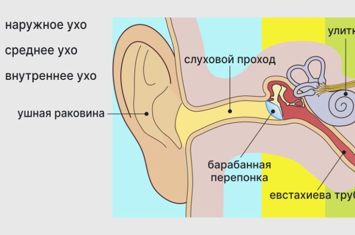 Прогреть ухо дома не составит никакого труда