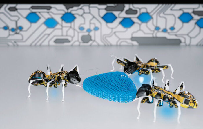 Российские исследователи создают колонию разнотипных мини-роботов"