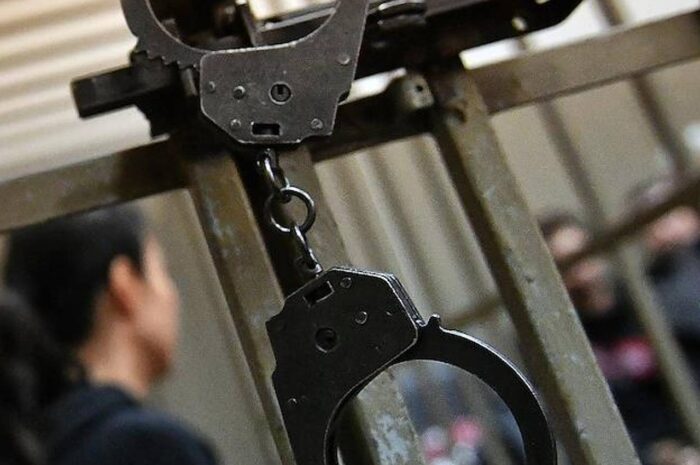 Россиянка ударила полицейского дверью машины по голове