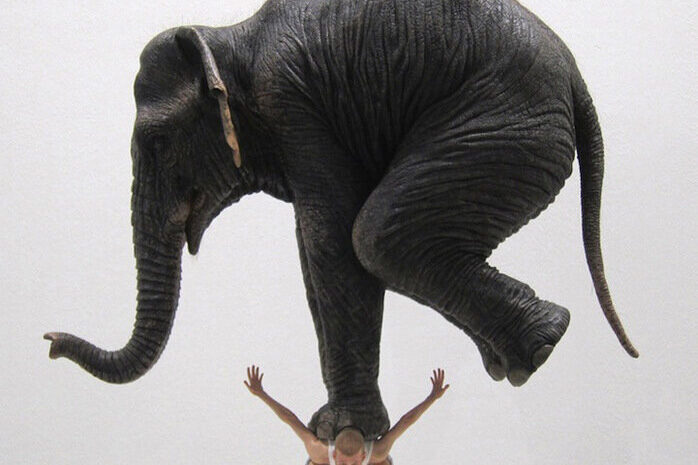 Слоны под кислотой