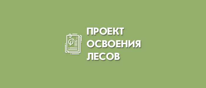 Создаем проект освоения лесов