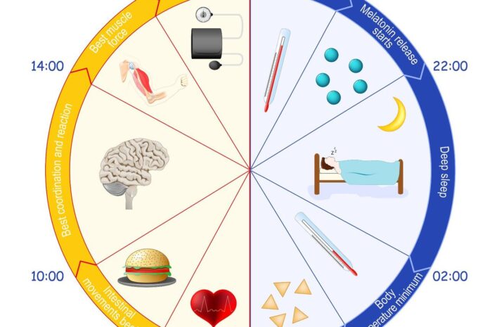 Ученые: Определены биологические часы для предсказания продолжительности жизни