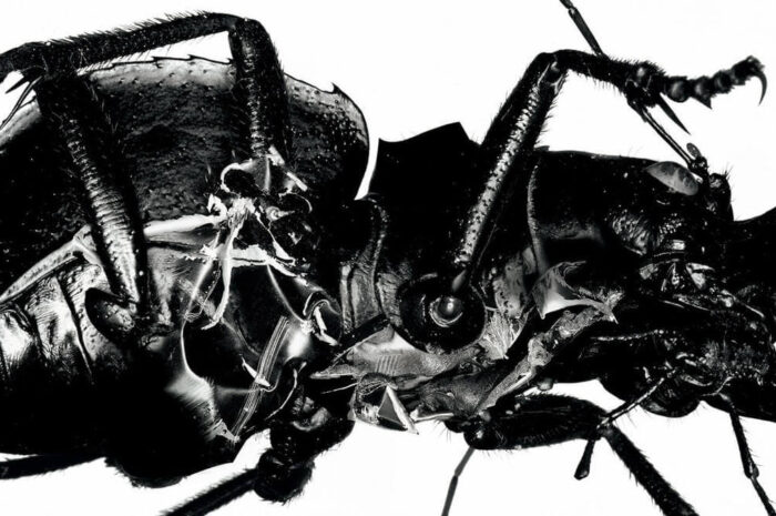 Ученые записали один из лучших альбомов 1998 года… на ДНК