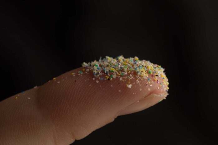 Учёные рассказали, сколько пластика попадает в организм вместе с едой