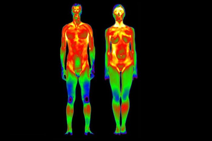 Учёные создали видеозонд, который точечно измеряет температуру человеческого тела