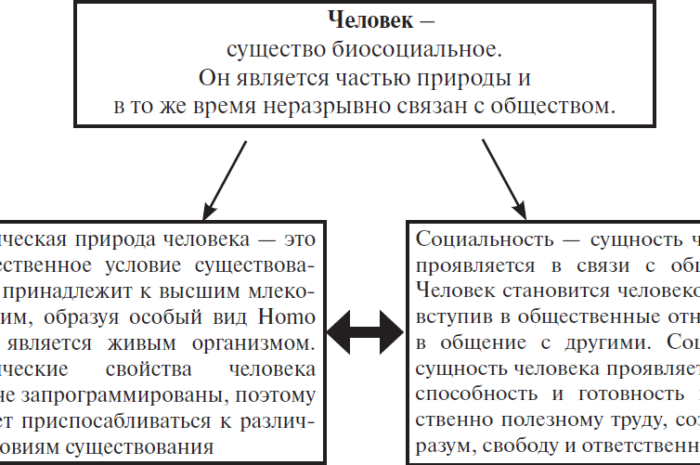 Успех человеческой эволюции