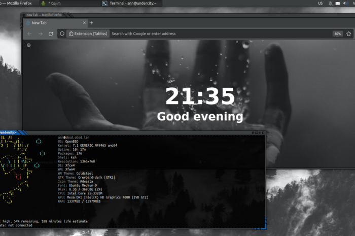 Установив OpenBSD мы можем ничего не опасаться?