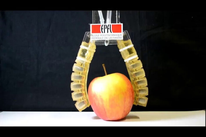 В Швейцарии разработан первый съедобный робот