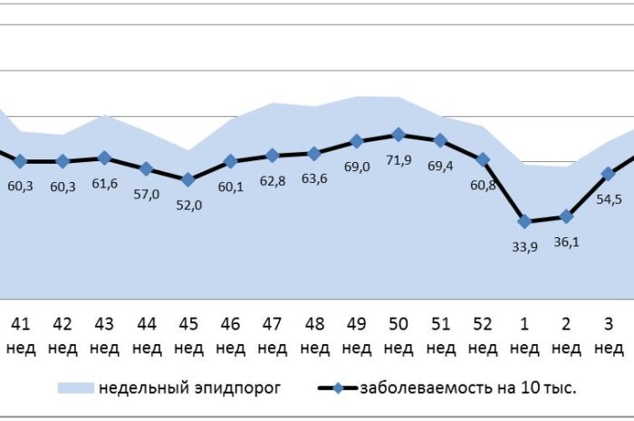 Заболеваемость ОРВИ в Хабаровске находится на неэпидемиологическом уровне
